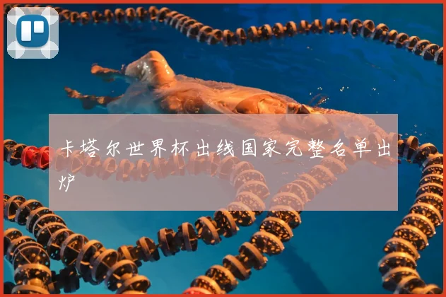 卡塔尔世界杯出线国家完整名单出炉