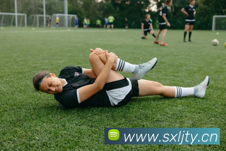 App Interface Preview